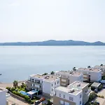 Suncana *